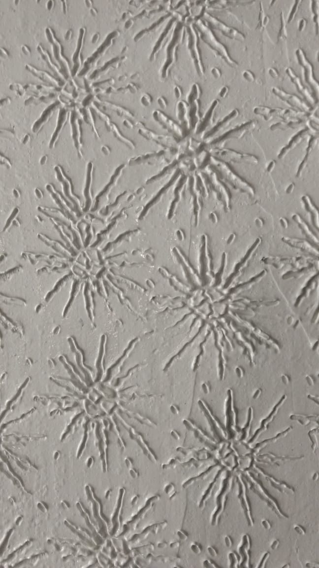 Design 29